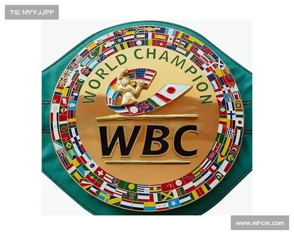 戴维·海耶在重量级拳击赛中击败对手成功卫冕成为世界冠军